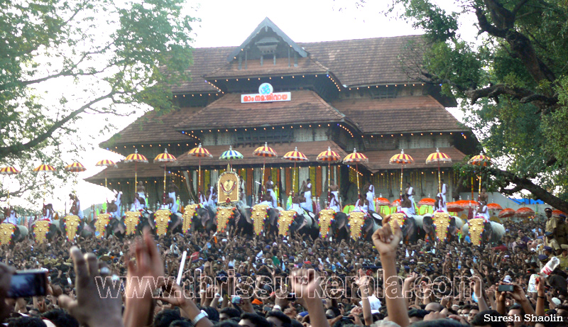thrissur-pooram-2011- (74)